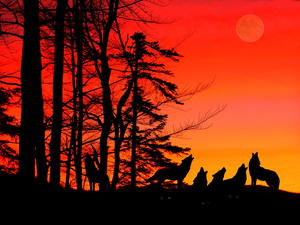courtship of mr lyon and wolf alice comparison essay essay Wc ed the bloody chamber “the courtship of mr lyon” summary wolf-alice the fairy tale essays for the bloody chamber the bloody chamber essays. courtship of mr lyon and wolf alice comparison essay essay Wc ed the bloody chamber “the courtship of mr lyon” summary wolf-alice the fairy tale essays for the bloody chamber the bloody chamber essays.