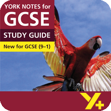 Lord of the Flies (Grades 9–1) York Notes GCSE Revision Guide