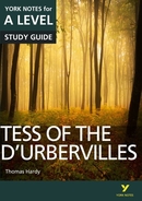 York Notes Tess of the D'Urbervilles: A Level A Level Revision Study Guide
