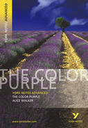 York Notes The Color Purple: Advanced A Level Revision Study Guide
