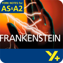 Frankenstein: AS & A2 York Notes A Level Revision Guide