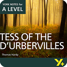 Tess of the D'Urbervilles: A Level York Notes A Level Revision Guide