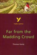 York Notes Far from the Madding Crowd: GCSE GCSE Revision Study Guide
