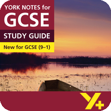 Great Expectations (Grades 9–1)  York Notes GCSE Revision Guide