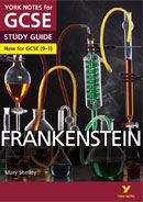 York Notes Frankenstein (Grades 9–1)  GCSE Revision Study Guide