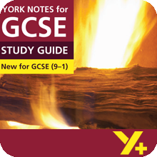 Jane Eyre (Grades 9–1)  York Notes GCSE Revision Guide