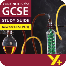 Frankenstein (Grades 9–1)  York Notes GCSE Revision Guide