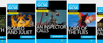 GCSE Workbooks York Notes