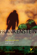 York Notes Frankenstein: GCSE GCSE Revision Study Guide