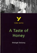 York Notes A Taste of Honey: GCSE GCSE Revision Study Guide