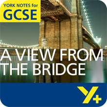 A View from the Bridge  York Notes GCSE Revision Guide